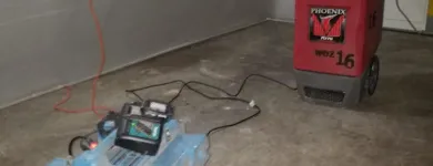 Business 5 image BEST AMERICAN BUILDERS INC Mold Testing & Removal in Sherman Oaks CA