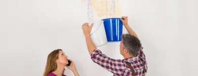 Business 9 image BEST AMERICAN BUILDERS INC Mold Testing & Removal in Sherman Oaks CA