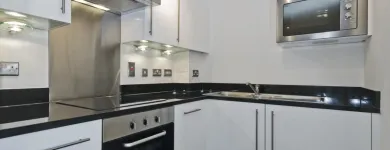 Business 17 image BEST AMERICAN BUILDERS INC Mold Testing & Removal in Sherman Oaks CA