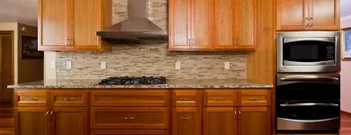 Business 18 image BEST AMERICAN BUILDERS INC Mold Testing & Removal in Sherman Oaks CA