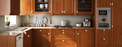 Business 25 image BEST AMERICAN BUILDERS INC Mold Testing & Removal in Sherman Oaks CA