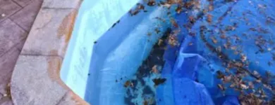 Business 8 image BIG WAVE POOL SERVICE in Yorba Linda CA