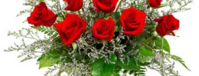 Business 3 image BLANC FLORA Florists in Augusta GA