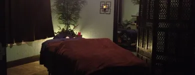 Business 1 image BROCK CHIROPRACTIC Chiropractors & Chiropractic Services in Tustin CA