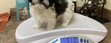 Business 4 image CADENCE DESIGN SYSTEMS Computer Electronics Recycling in San Jose CA