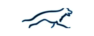 Business 1 image CALI K9 SAN FRANCISCO in San Francisco CA