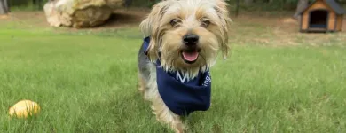 Business 15 image CAMDEN STOCKBRIDGE APARTMENTS in Stockbridge GA