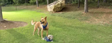 Business 19 image CAMDEN STOCKBRIDGE APARTMENTS in Stockbridge GA