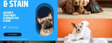 Business 7 image CARPET CLEANING DALLAS TX in Dallas TX