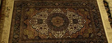 Business 13 image CARPET SERVICE EXPRESS in North Richland Hills TX