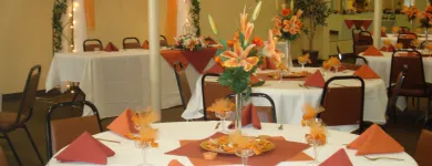 Business 7 image CELEBRATIONS PARTY SPOT Wedding Supplies & Services in Tucson AZ