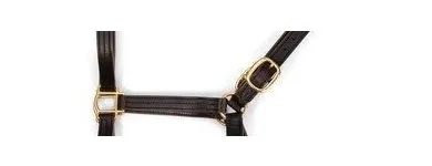 Business 3 image CENTRAL KENTUCKY TACK AND LEATHER in Lexington KY