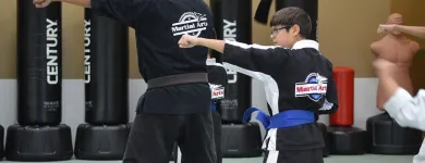 Business 2 image CHAMPIONSHIP MARTIAL ARTS - CURRY FORD in Orlando FL