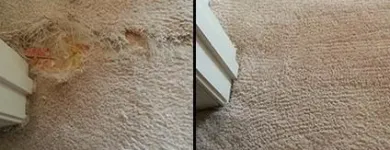 Business 1 image CHICAGO CREATIVE CARPET REPAIR & STRETCHING Emergency Services in Cicero IL