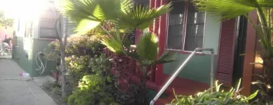 Business 14 image CHRIS PROFESSIONAL HANDYMAN SERVICE Painting Contractors in San Diego CA