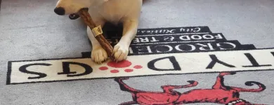 Business 4 image CITY DOGS GROCERY - SPEEDWAY in Speedway IN