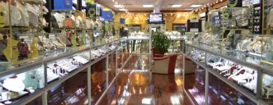 Business 11 image CLAUDIA'S JEWELRY INC. Watches in Chicago IL