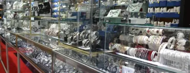 Business 3 image CLAUDIA'S JEWELRY INC. Watches in Chicago IL