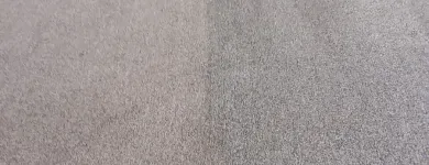 Business 2 image CLEAN RITE CARPET CLEANING in Gahanna OH