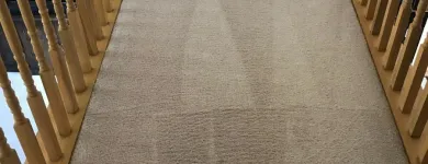 Business 3 image CLEAN RITE CARPET CLEANING in Gahanna OH