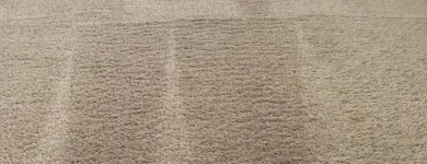 Business 4 image CLEAN RITE CARPET CLEANING in Gahanna OH