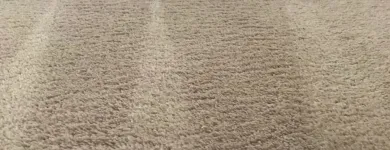 Business 5 image CLEAN RITE CARPET CLEANING in Gahanna OH