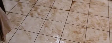 Business 6 image CLEAN RITE CARPET CLEANING in Gahanna OH