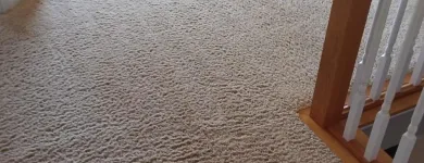 Business 8 image CLEAN RITE CARPET CLEANING in Gahanna OH