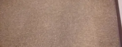 Business 12 image CLEAN RITE CARPET CLEANING in Gahanna OH