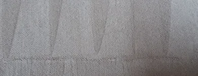 Business 17 image CLEAN RITE CARPET CLEANING in Gahanna OH