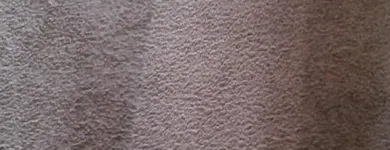Business 22 image CLEAN RITE CARPET CLEANING in Gahanna OH