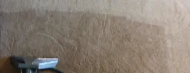 Business 34 image CLEAN RITE CARPET CLEANING in Gahanna OH