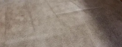 Business 35 image CLEAN RITE CARPET CLEANING in Gahanna OH