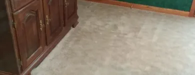 Business 49 image CLEAN RITE CARPET CLEANING in Gahanna OH
