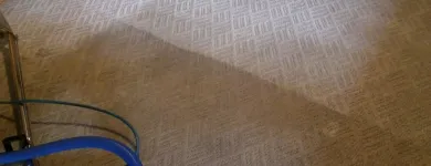 Business 56 image CLEAN RITE CARPET CLEANING in Gahanna OH