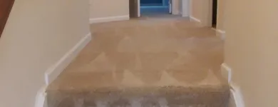 Business 61 image CLEAN RITE CARPET CLEANING in Gahanna OH