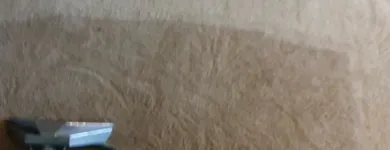 Business 62 image CLEAN RITE CARPET CLEANING in Gahanna OH