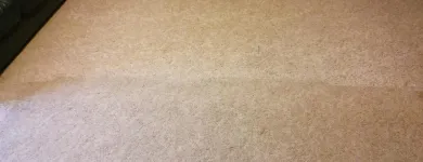 Business 63 image CLEAN RITE CARPET CLEANING in Gahanna OH