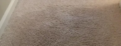 Business 68 image CLEAN RITE CARPET CLEANING in Gahanna OH