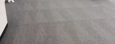 Business 72 image CLEAN RITE CARPET CLEANING in Gahanna OH