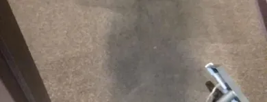 Business 77 image CLEAN RITE CARPET CLEANING in Gahanna OH