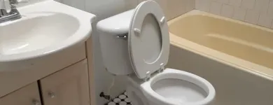 Business 2 image CLEAN WITH CHARLENE Residential Cleaning in Baltimore MD