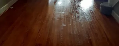 Business 6 image CLEAN WITH CHARLENE Residential Cleaning in Baltimore MD