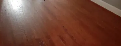 Business 9 image CLEAN WITH CHARLENE Residential Cleaning in Baltimore MD