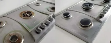 Business 13 image CLEANZEN CLEANING SERVICES Maid Service in Chicago IL