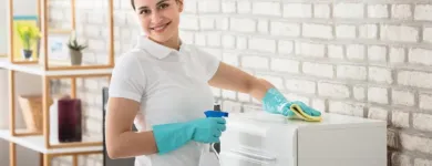 Business 20 image CLEANZEN CLEANING SERVICES Maid Service in Chicago IL
