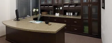 Business 5 image CLOSETS BY DESIGN - CHICAGO Shopping & Retail in Chicago IL