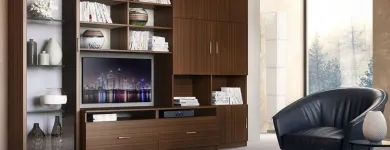 Business 22 image CLOSETS BY DESIGN - CHICAGO Shopping & Retail in Chicago IL