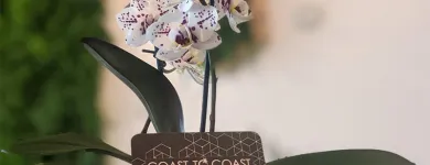 Business 7 image COAST TO COAST CHIROPRACTIC HEALTHCARE Chiropractor in Fort Lauderdale FL