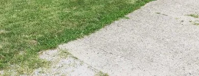 Business 1 image COLLINS MOWING in Bethany IL